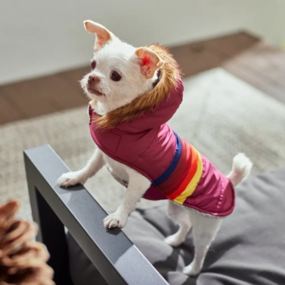 (2) TWO  Pet Apparel Small Dog /Cat  Parka and Sweater-  Up to 20lb